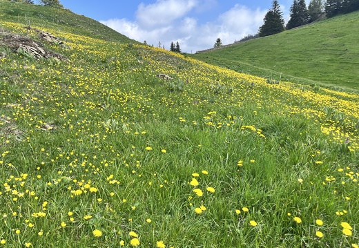 23-05-26 13-22-42 5697